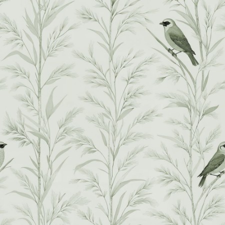 Image de Orvar Green - 1072501-03